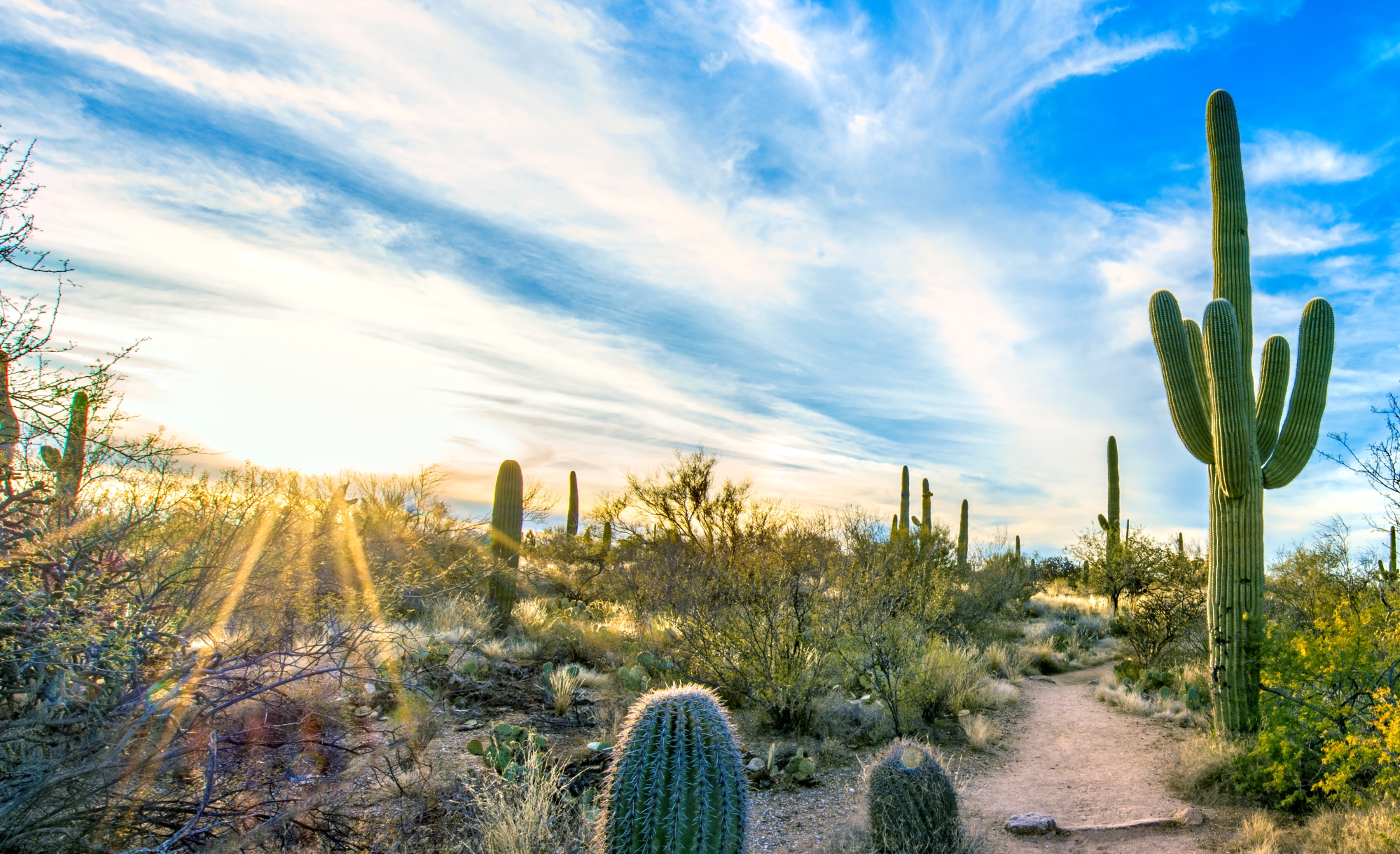 AZ Cancer Control Plan - Cancer Data
